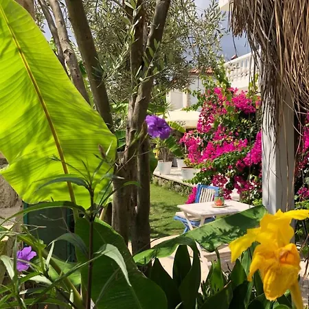 Otel Temucin Alaçatı