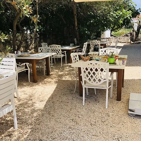 Otel Temucin