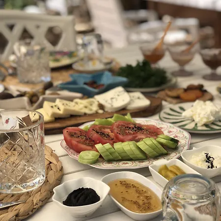 Temucin Alaçatı