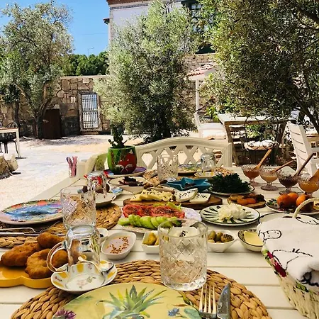 Temucin Alaçatı