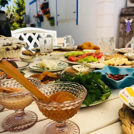 Temucin Otel 2*