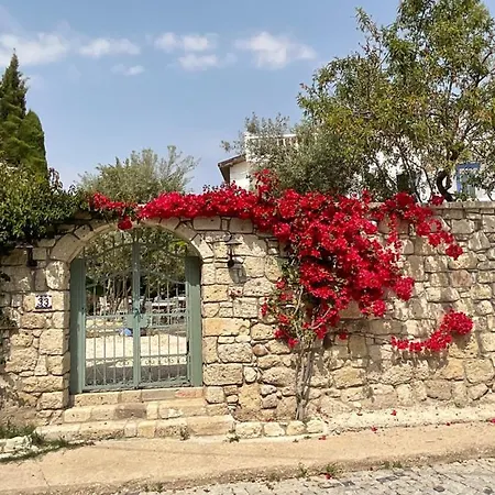 Temucin Hotel