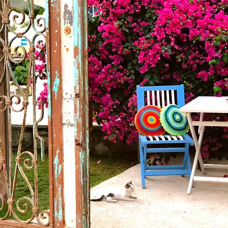 Temucin Alaçatı